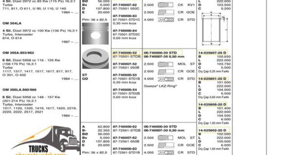 06-740000-30, Segman 97,5 mm-Mercedes Axor